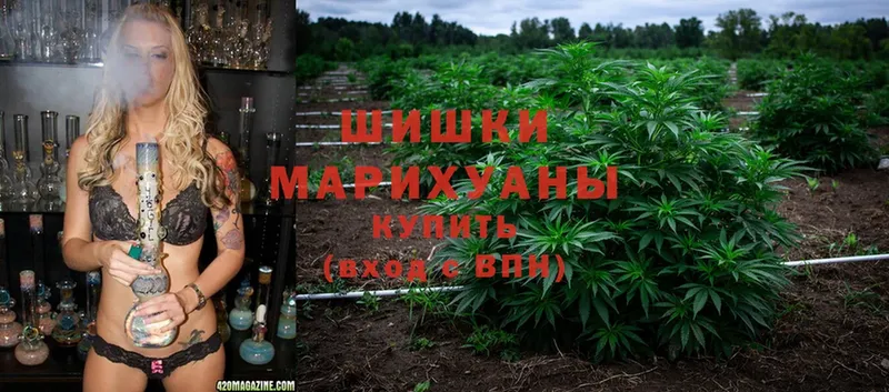 хочу   Макушино  Бошки марихуана THC 21% 